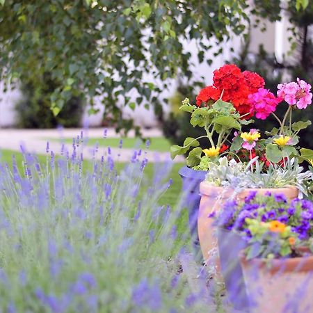 Jaszbereny Boutique Room Екстер'єр фото