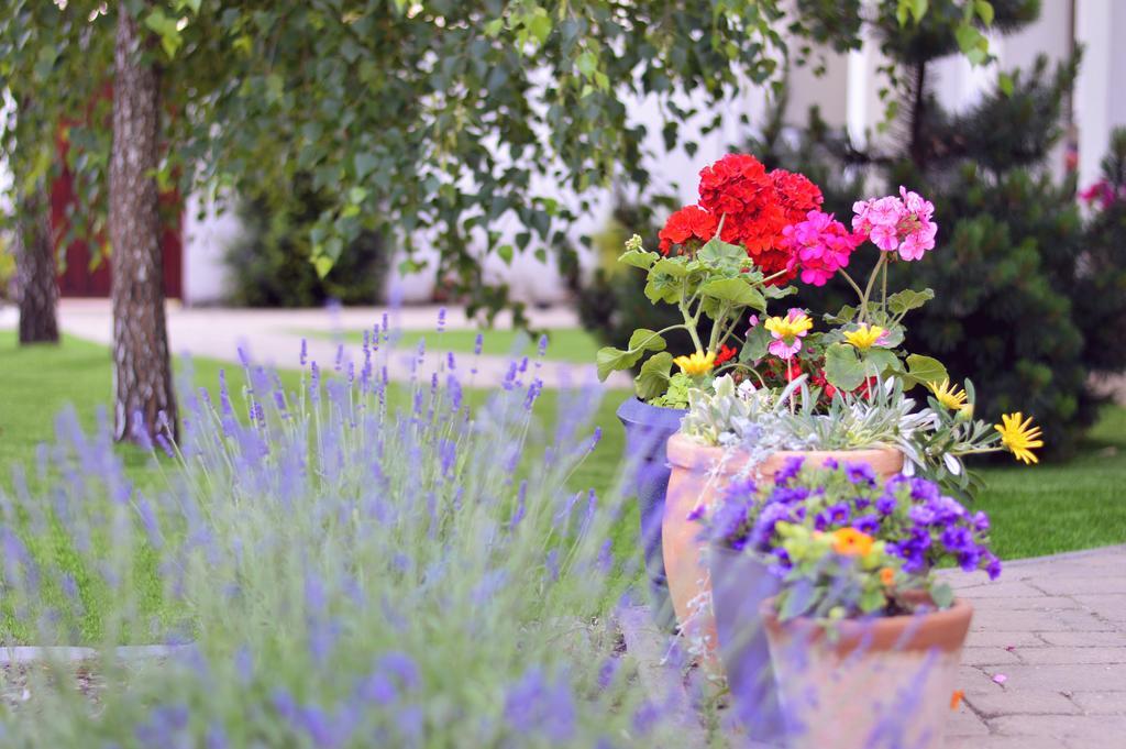 Jaszbereny Boutique Room Екстер'єр фото